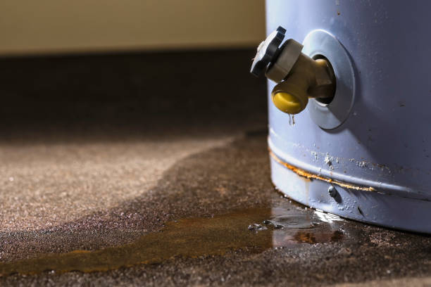 Best Mold removal after water damage  in Mason City, IL