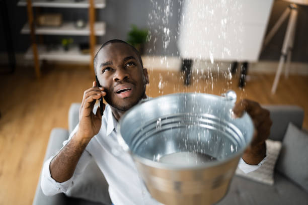 Best Basement water damage restoration  in Mason City, IL