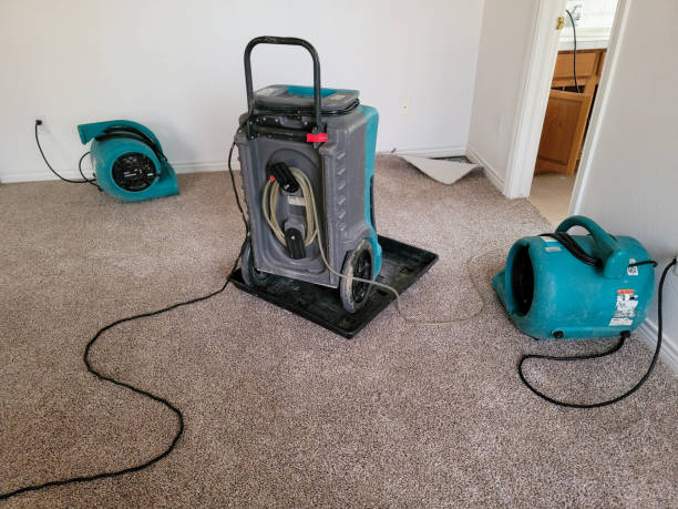 Best Mold removal after water damage  in Mason City, IL