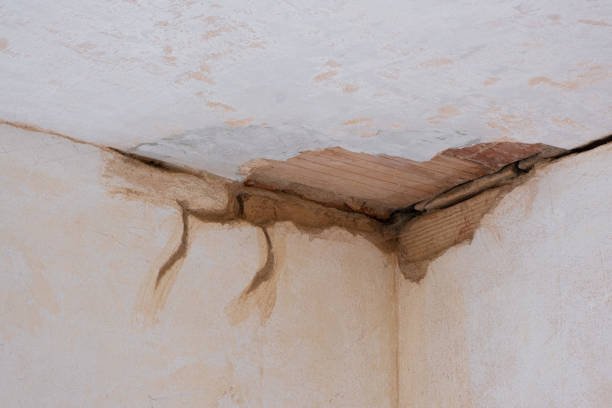 Best Water damage restoration process  in Mason City, IL