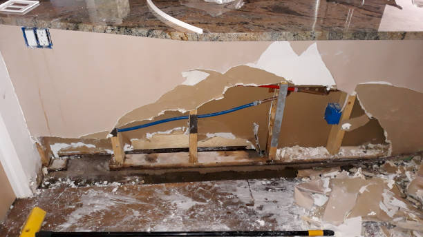 Best Water damage restoration specialists  in Mason City, IL