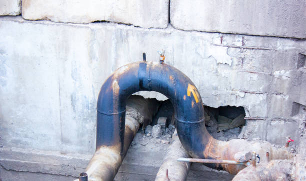 Best Carpet water damage restoration  in Mason City, IL