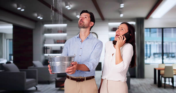 Best Flooded house restoration  in Mason City, IL
