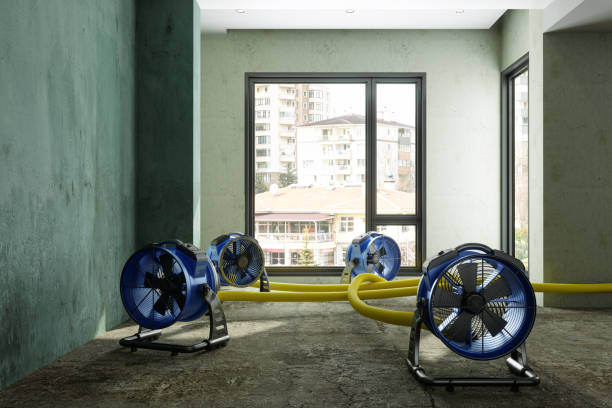 Best Fire Damage Restoration  in Mason City, IL